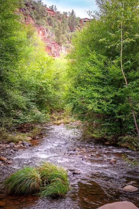 Stunning Views, Large Deck W/ Private Hiking Trail Holiday home *