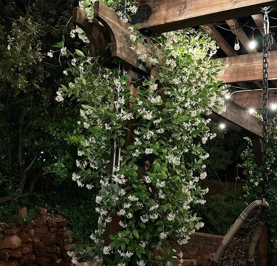 Lantern Light - Romantic Getaway (adults Only) 3*