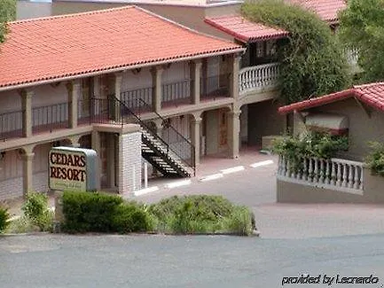 Cedars 3*