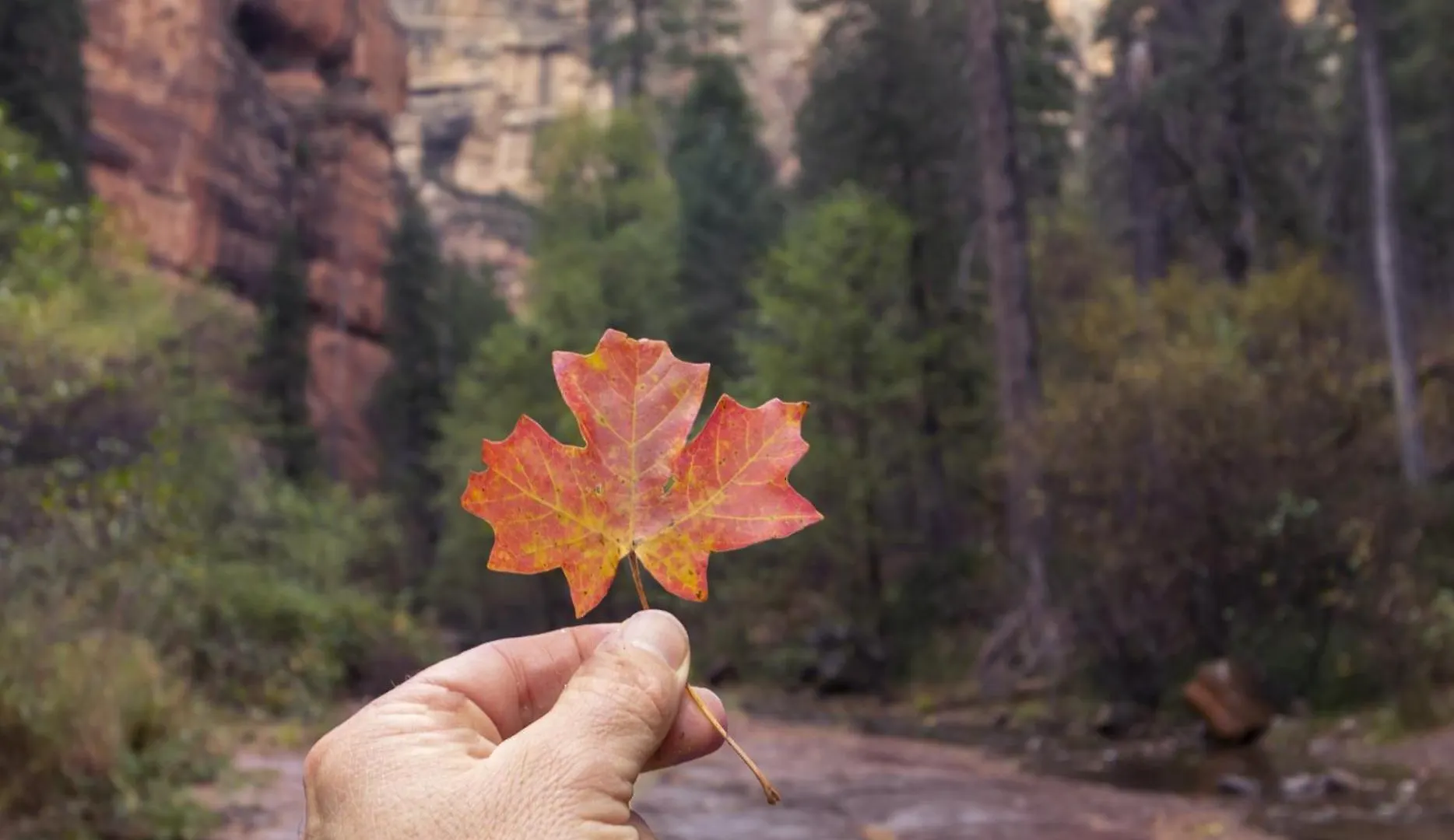 Breathtaking Views Hiking Hot Tub Casa de Férias Sedona