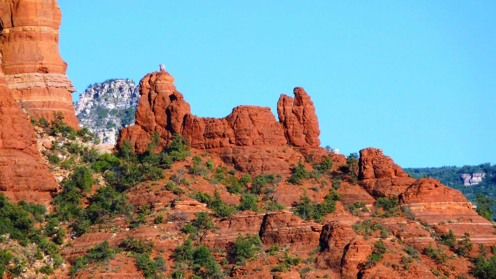 Cedars Hotel Sedona