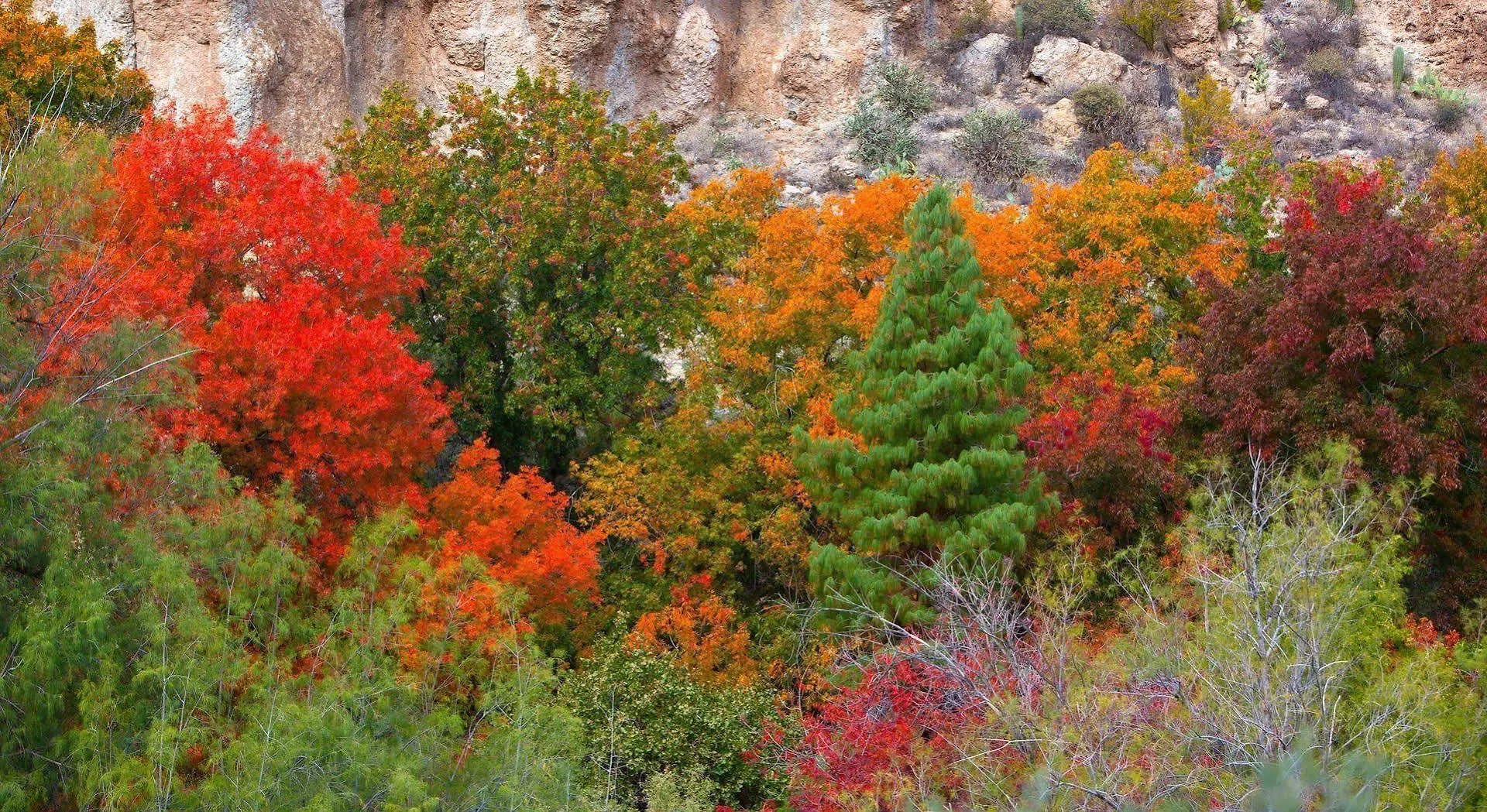 Express - Oak Creek By Ihg 3* Sedona